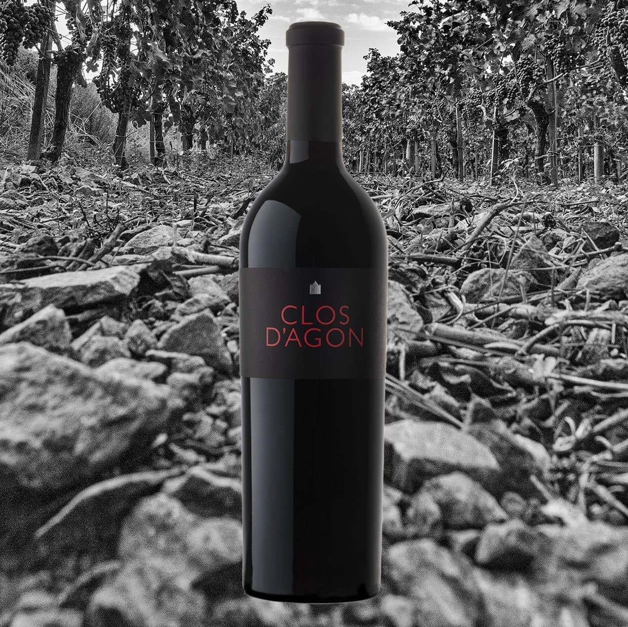 Botella de Clos d'Agon tinto sobre la tierra del viñedo