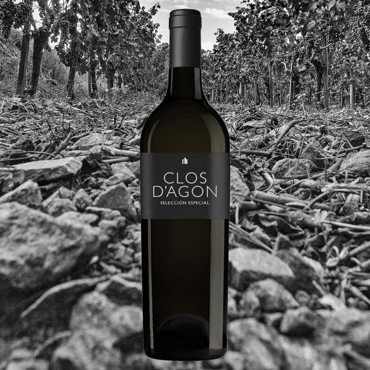 Botella de Selección Especial sobre la tierra del viñedo