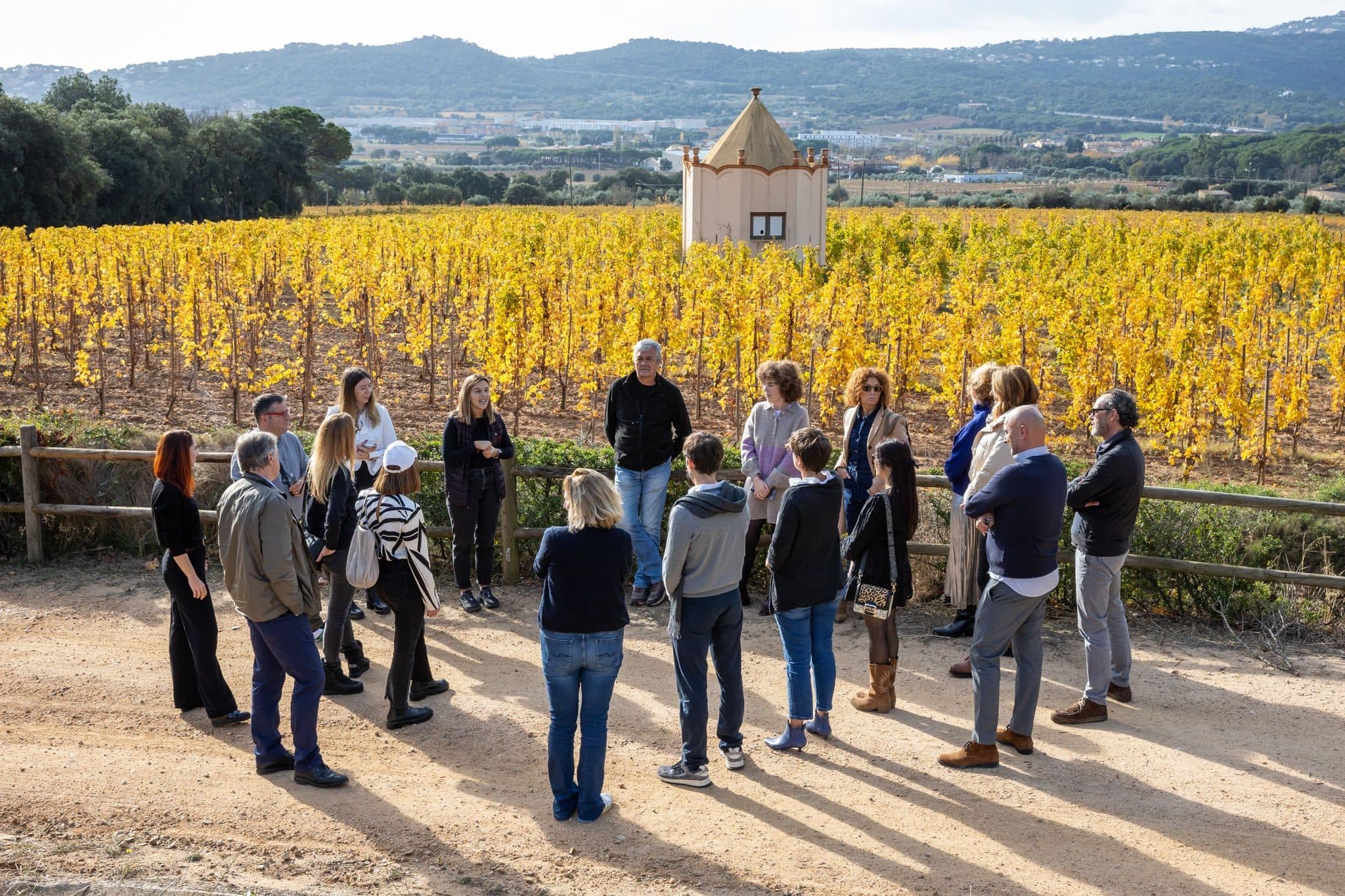 Un grupo de visitantes en el viñedo dorado de otoño junto a la caseta de piedra