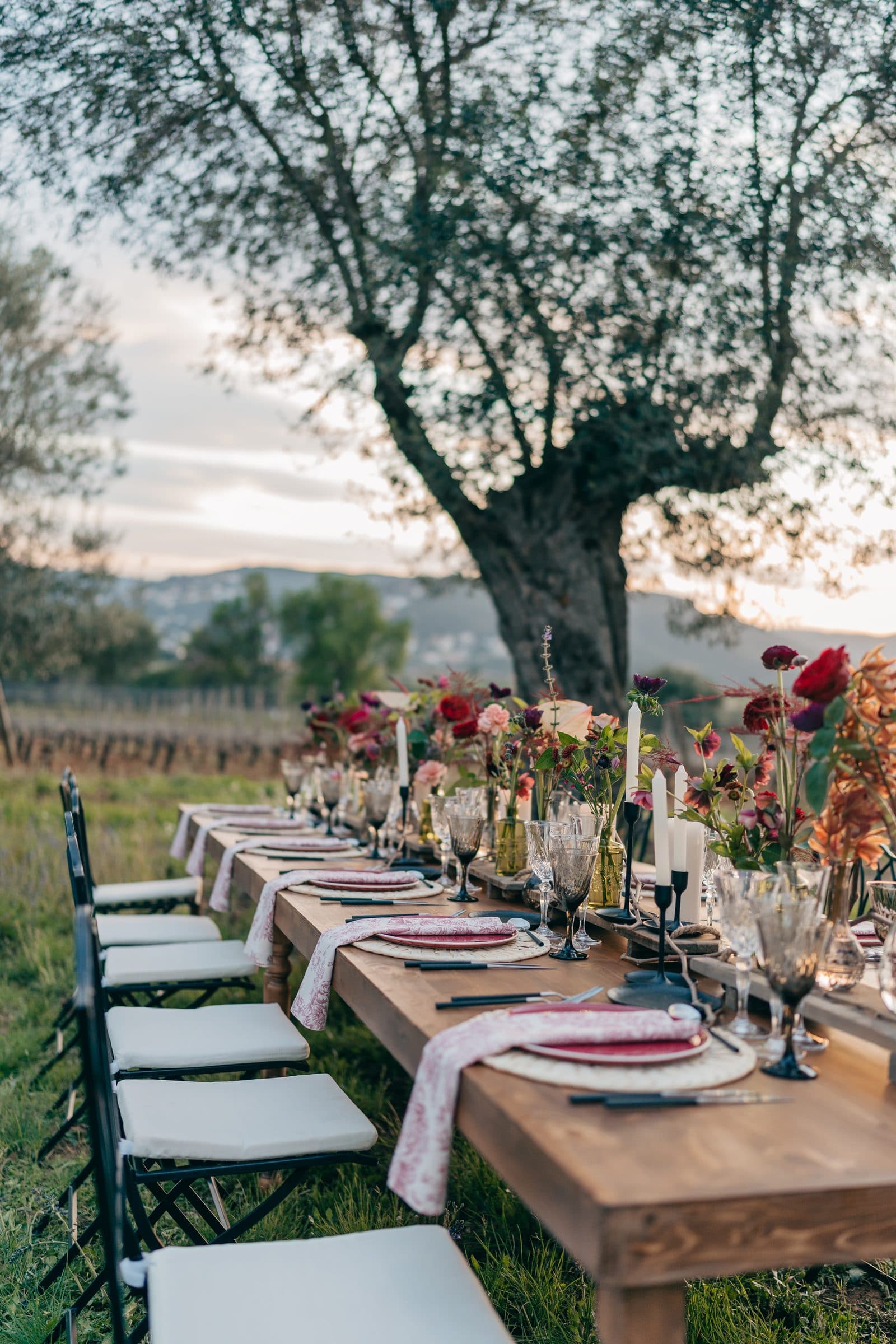 Mesa del banquete bajo el olivo
