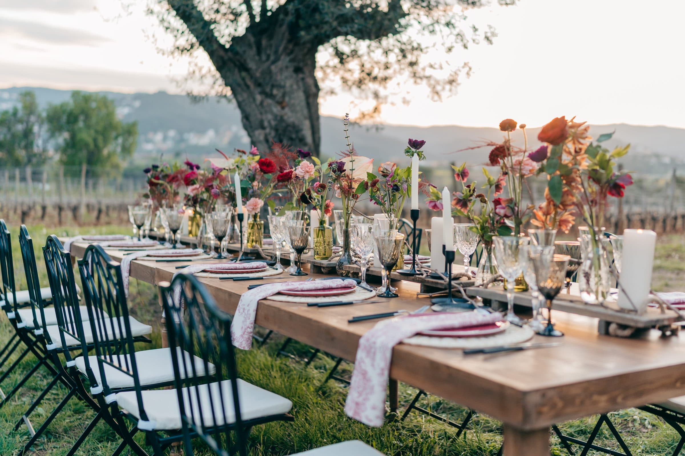 Mesa larga con flores bajo un olivo, con el viñedo y las montañas al fondo